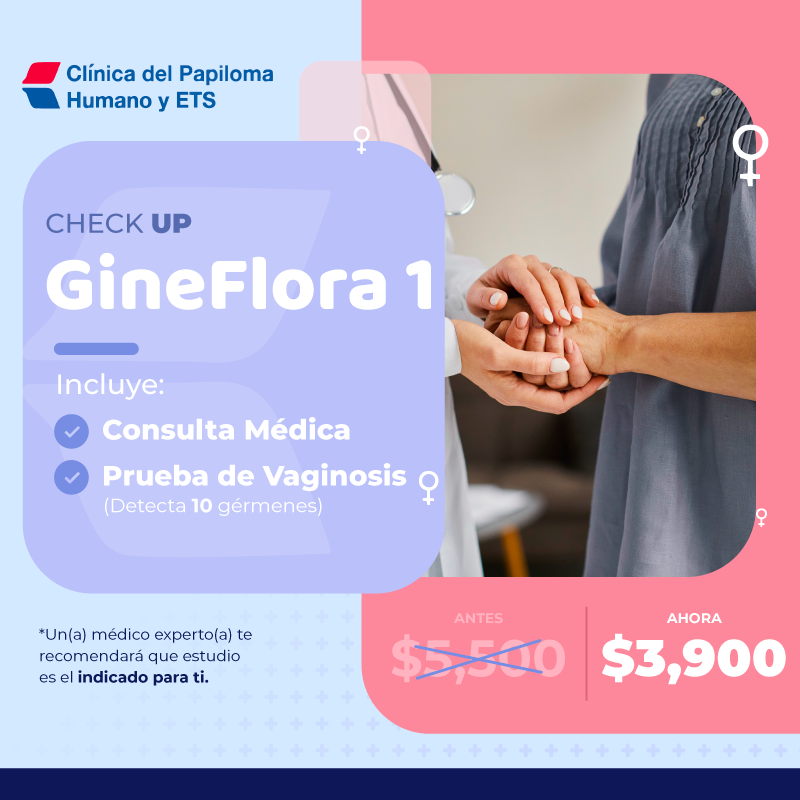 Gineflora_01